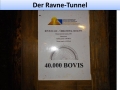 40.000bovis